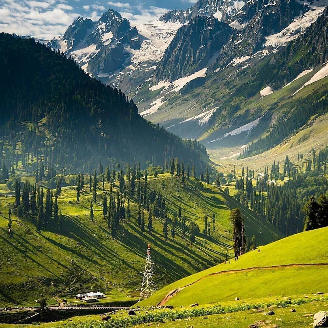 On your own, you see. On a tour, you do.